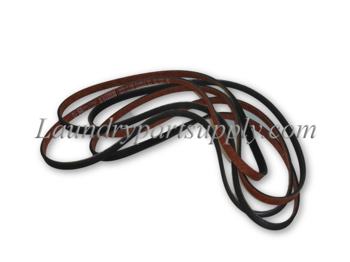 BELT - TUMBLER & MOTOR *