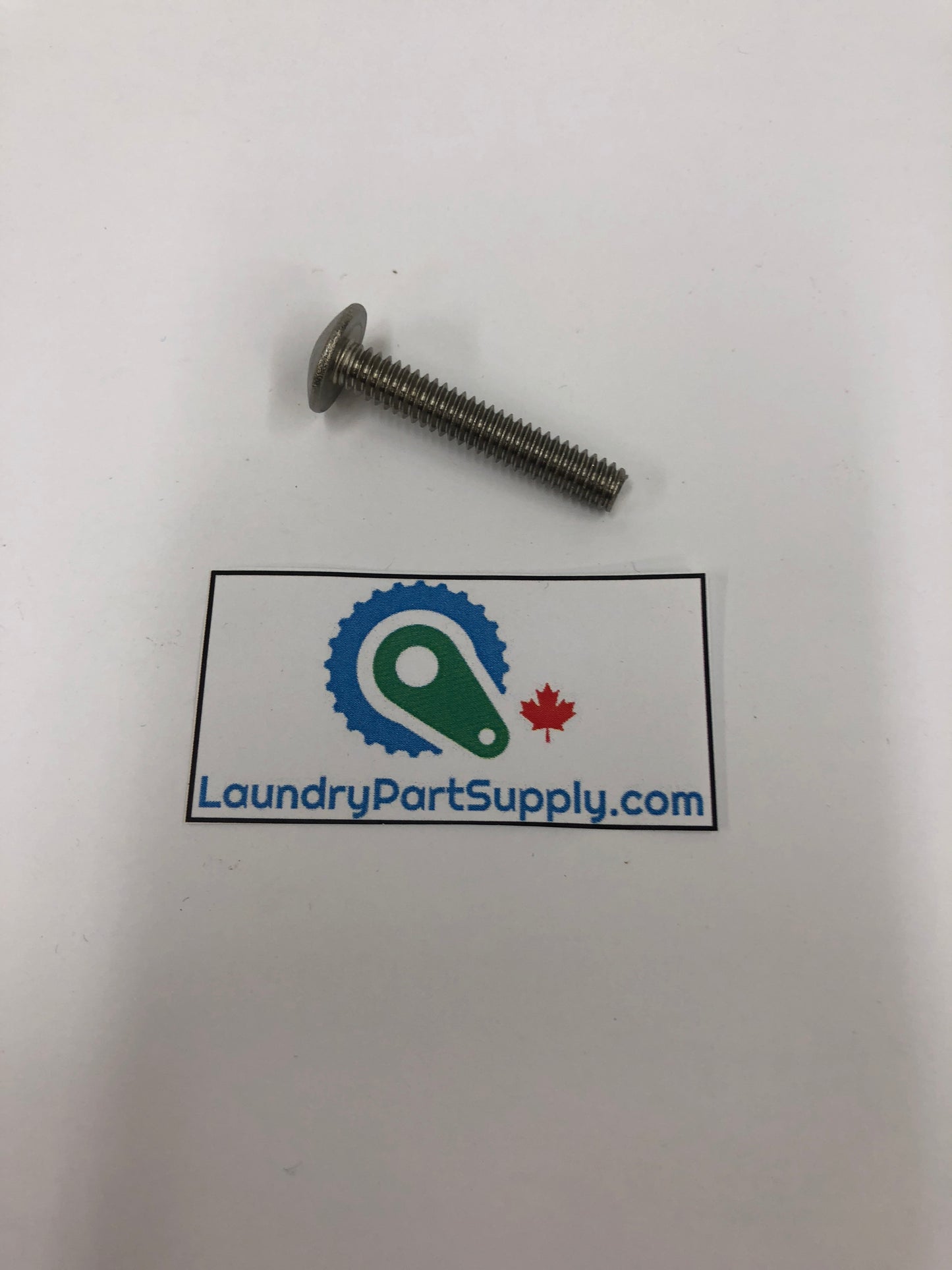 SCREW,SKT.1/4-20X1.5 SS