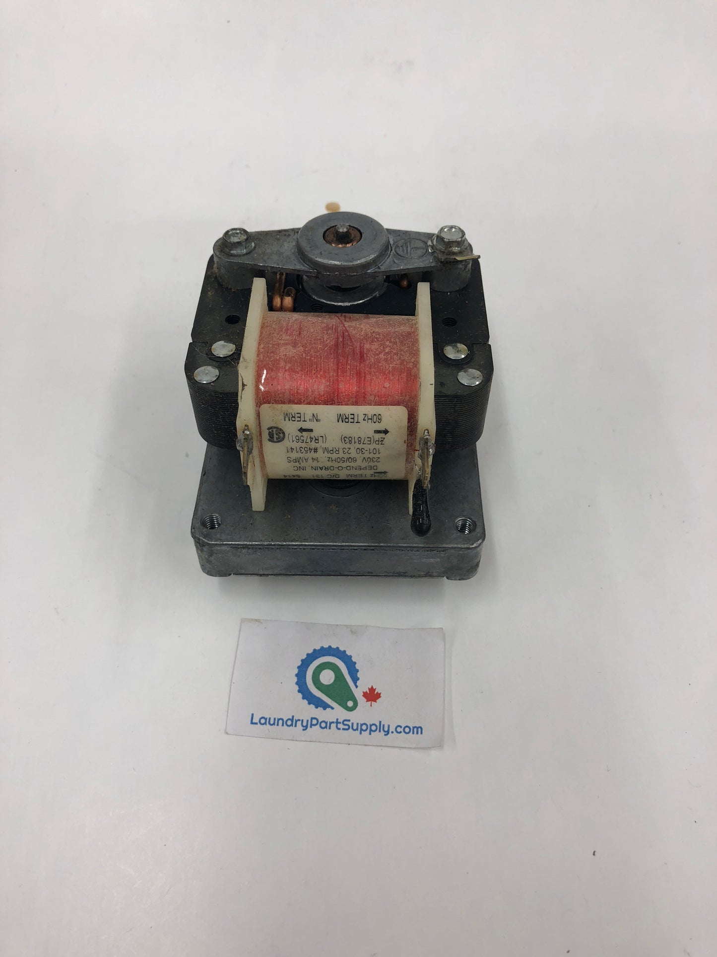 240 VOLT DRAIN MOTOR & GEAR