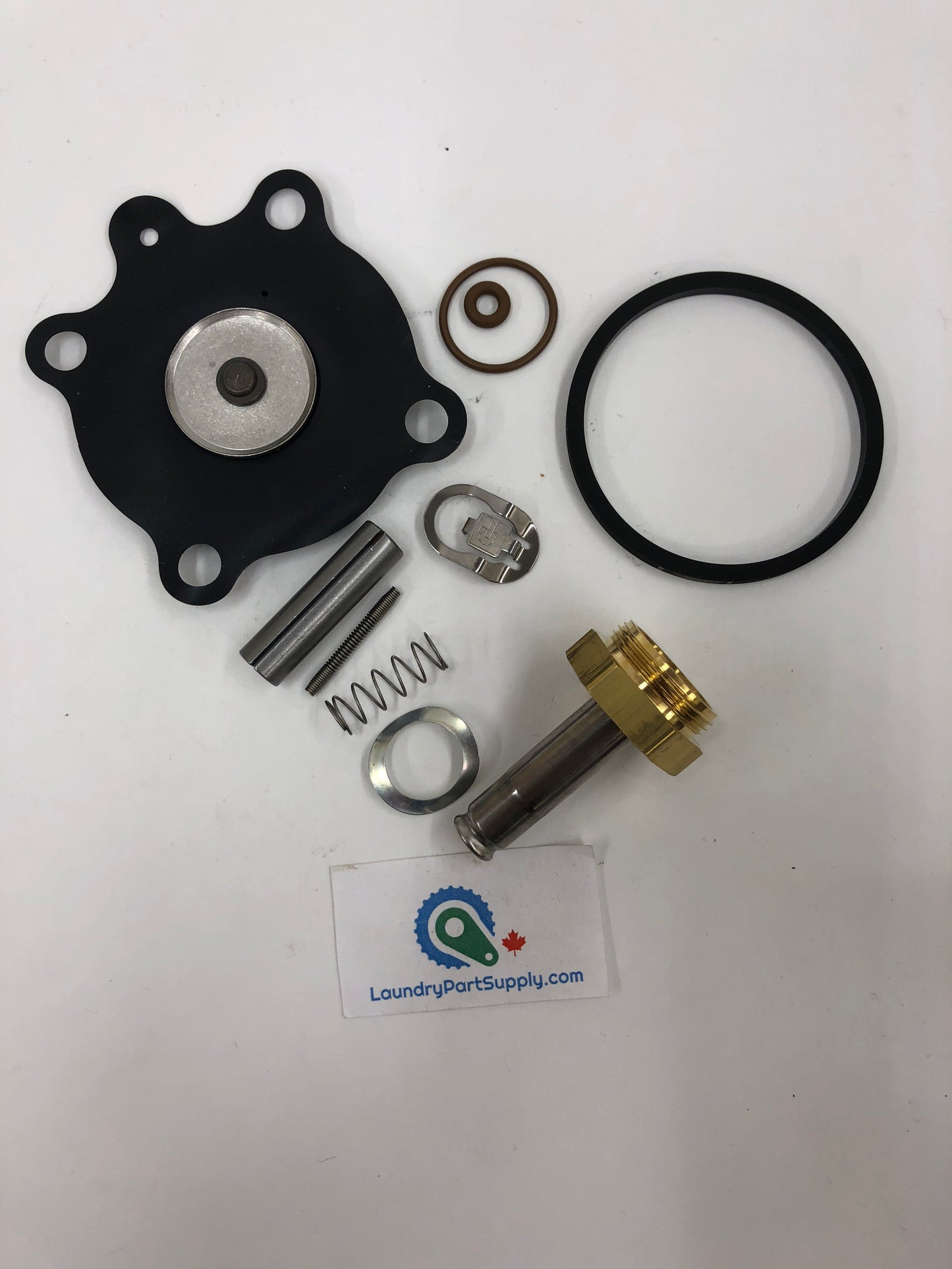 REPAIR KIT,3/4" NC,110V PARKER#96P056C37