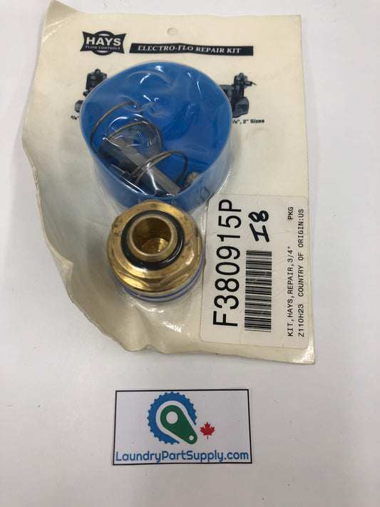 VALVE REPAIR KIT  3/4"